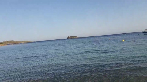 triporxs  19-05-2022